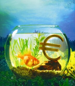 aquarium avec des poissons rouges pour attirer de l'argent